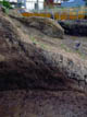 FileNo.024-010.jpg