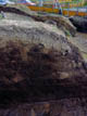FileNo.024-011.jpg