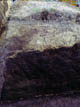 FileNo.024-013.jpg