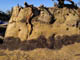 FileNo.024-015.jpg