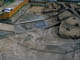 FileNo.024-021.jpg