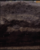 FileNo.090077.jpg