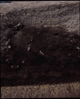 FileNo.090079.jpg