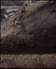 FileNo.090081.jpg