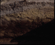 FileNo.090084.jpg