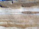 FileNo.025-010.jpg