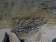 FileNo.025-015.jpg