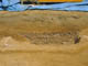 FileNo.025-016.jpg