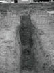 FileNo.026-008.jpg