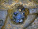 FileNo.026-009.jpg