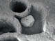 FileNo.026-011.jpg