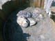 FileNo.027-002.jpg