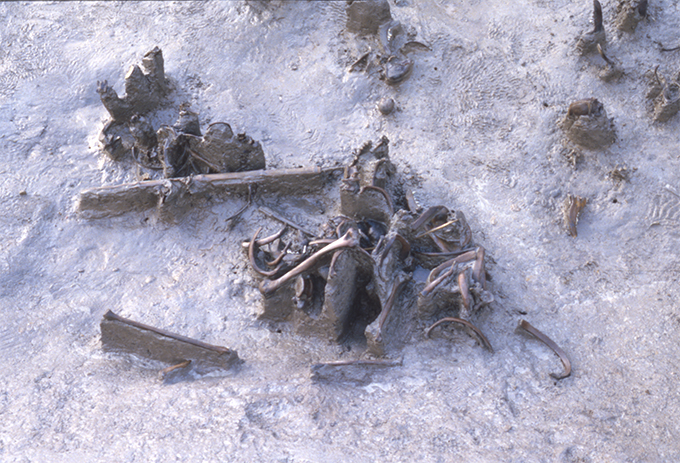 FileNo.S028-028.jpg