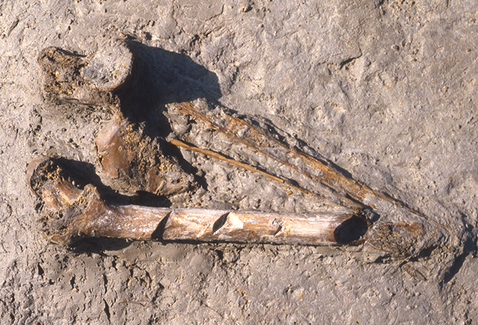 FileNo.S028-031.jpg