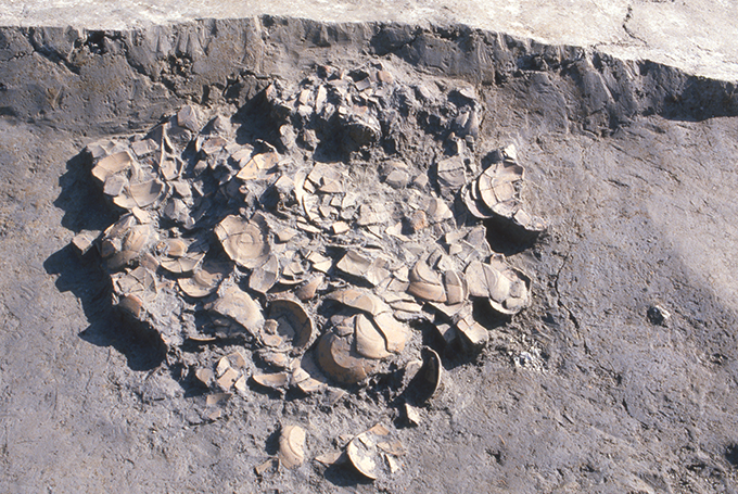 FileNo.S028-033.jpg