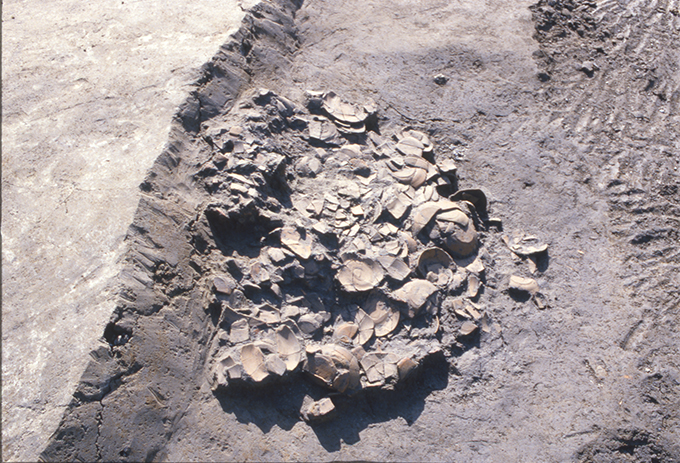 FileNo.S028-034.jpg