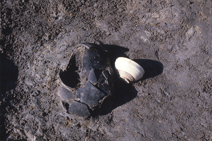 FileNo.S028-035.jpg