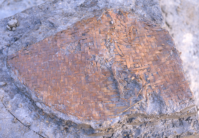 FileNo.S028-038.jpg