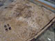 FileNo.029-002.jpg