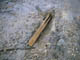 FileNo.029-007.jpg