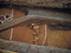 FileNo.029-013.jpg