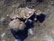 FileNo.029-020.jpg