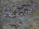 FileNo.029-035.jpg