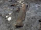 FileNo.029-041.jpg