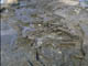 FileNo.029-049.jpg