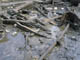 FileNo.029-050.jpg