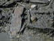 FileNo.029-054.jpg