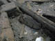 FileNo.029-055.jpg