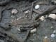 FileNo.029-056.jpg