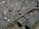 FileNo.029-058.jpg