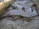 FileNo.029-061.jpg