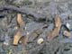 FileNo.029-062.jpg