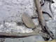 FileNo.029-064.jpg