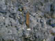 FileNo.029-067.jpg