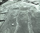 FileNo.S029-006.jpg