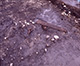 FileNo.S029-007.jpg