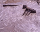 FileNo.S029-012.jpg