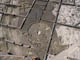 FileNo.030-006.jpg