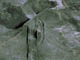 FileNo.030-009.jpg