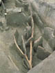 FileNo.030-015.jpg