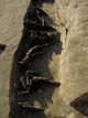 FileNo.030-018.jpg