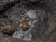 FileNo.030-022.jpg