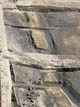 FileNo.030-027.jpg