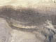 FileNo.030-029.jpg