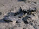 FileNo.030-034.jpg