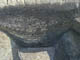 FileNo.030-036.jpg